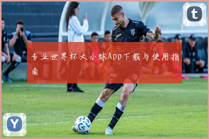 专业世界杯大小球App下载与使用指南