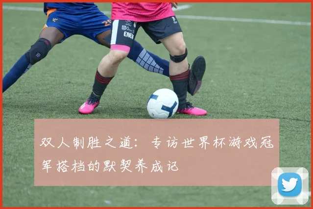 双人制胜之道：专访世界杯游戏冠军搭档的默契养成记