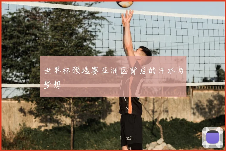 世界杯预选赛亚洲区背后的汗水与梦想