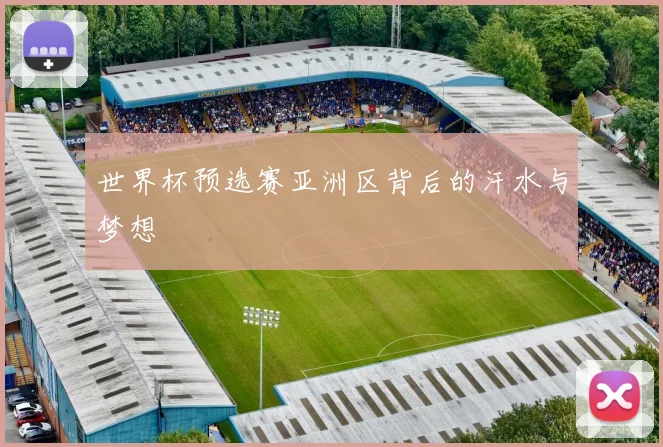世界杯预选赛亚洲区背后的汗水与梦想